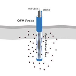 Schematic illustration of an OFM probe