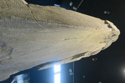Kultigin Monument of Orkhon Inscriptions - Orkhun Museum, Kharkhorin, Mongolia