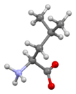 Leucine-from-xtal-3D-bs-17.png