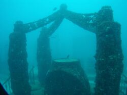 Neptune memorial reef