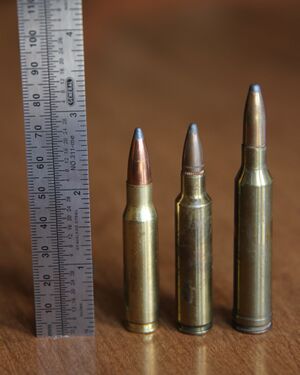 .284 Winchester with .223 Rem and .308 Win.JPG