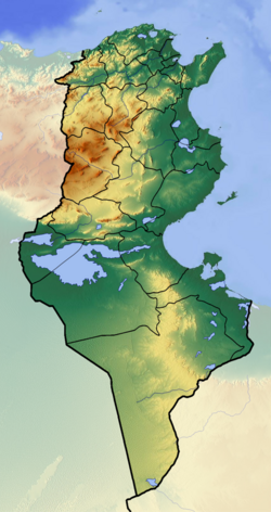 Aïn el Guettar Formation is located in Tunisia