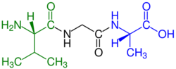 Tripeptide Val-Gly-Ala Formula V1.svg