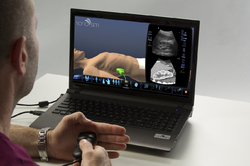 Over-the-Shoulder Image of a Virtual Manakin and Accompanying Ultrasound Screen.png