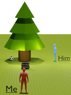 VDP1: From his perspective, the ball is not visible. VDP2: From his perspective: The woodpile is on the left of the tree.