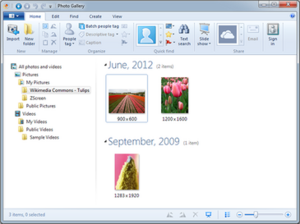 Windows Photo Gallery 2012 screenshot.png