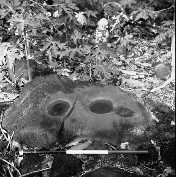 File:F 2 070 182 Uk Uni grinding stone 1957 Myer's plantation, Samoa.jpg