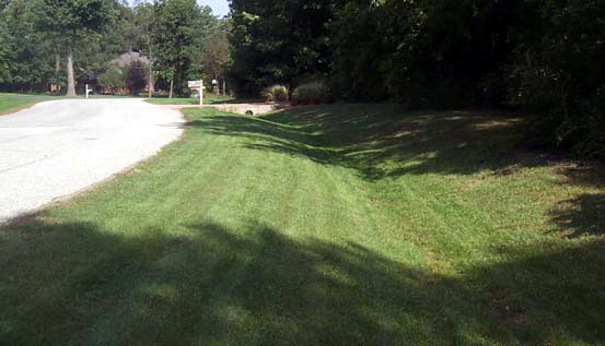 File:Grass lined channel NRCS.jpg