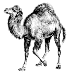 File:Perl-camel-small.png