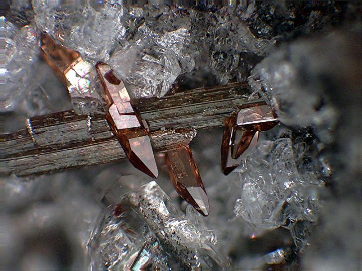 File:Titanite crystals on Amphibole - Ochtendung, Eifel, Germany.jpg