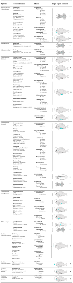 Luminous bacterial species in light organ symbiosis in fish and squid.png