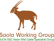 Saola Working Group Logo.jpg