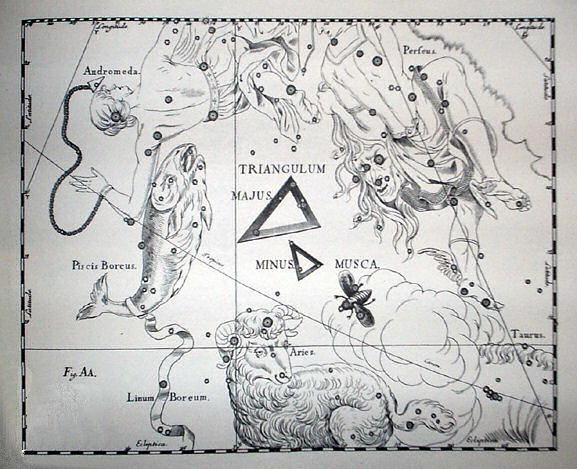 File:Johannes Hevelius - Prodromus Astronomia - Volume III "Firmamentum Sobiescianum, sive uranographia" - Tavola AA - Triangulum Majus Minus et Musca.jpg