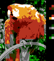 Parrot NES realistic example.png