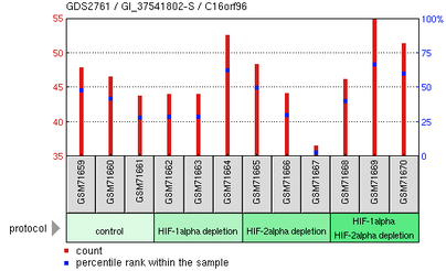 File:Expression of C16orf96 under different HIF depletion.png
