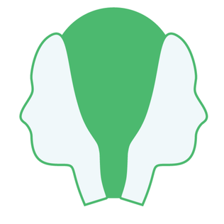 File:JanusVR Logo.png