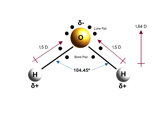 File:Water molecule - structure and dipole moment.png