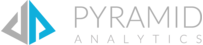 Pyramid Analytics logo.png