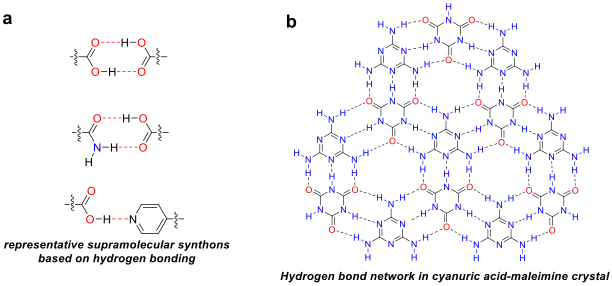 File:(a) Representative hydrogen bond patterns in supramolecular assembly. (b) Hydrogen bond network in cyanuric acid-melamine crystals.png