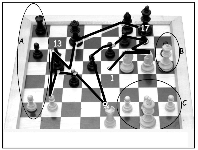 File:Eye movements of a chess champion nc.jpg