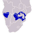 Mopane-Distribution-small.png