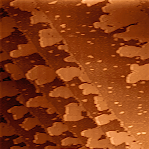 File:Scanning tunneling microscope (STM) 250 nm by 250 nm image of one-atom-thick silver islands grown on palladium (111) surface.png