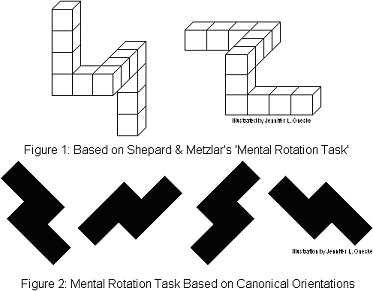 File:Mental rotation task (diagram).jpg