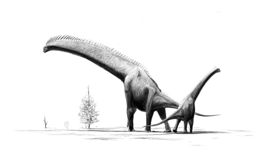 File:Brachiosaurus-brancai jconway.jpg