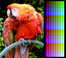 Screen color test MSX2 Screen8.png