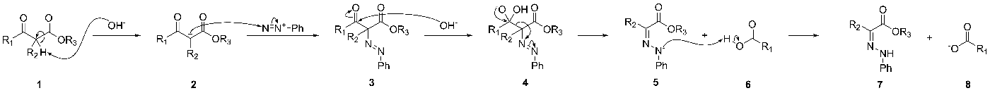 The Japp-Klingemann reaction mechanism