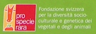 File:ProSpecieRara, name in Italian (cropped).JPG
