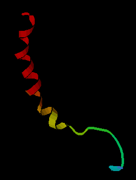 File:Neuropeptide Y.png