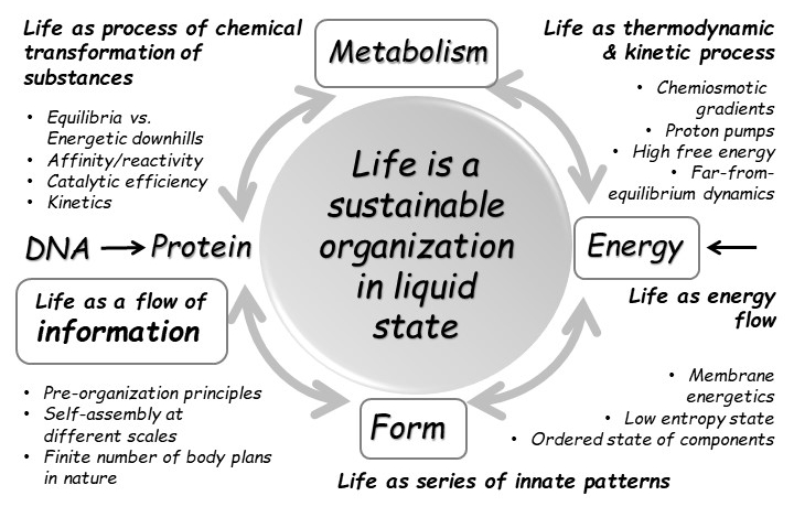 File:Definition of cellular life NB.jpg