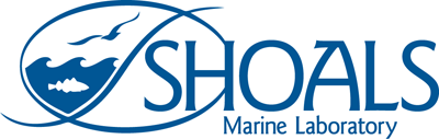 File:Shoals logo.png