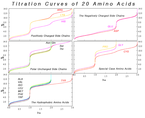 File:Amino Acid Titration Curves By Side Chain.png