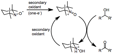 OxoamMech3.png