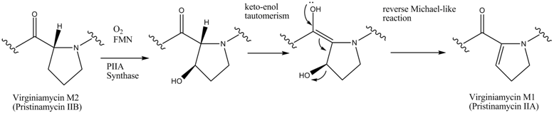 Dehydration of Virginiamycin M1.png