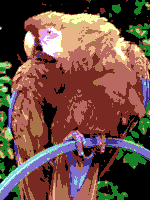 CommodoreVIC20 palette sample image.png