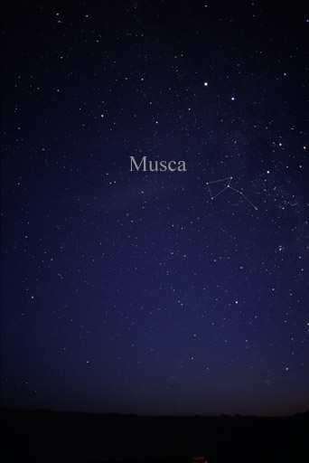 File:Constellation Musca.jpg