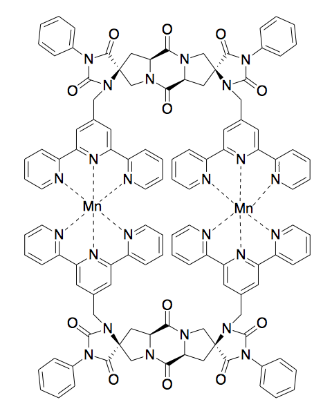File:Metal Binding Spiroligomer.png