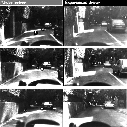 File:Eye movements of drivers.jpg