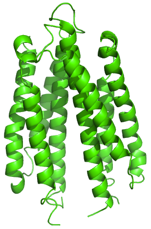 File:Ligand binding domain aspartate receptor.png