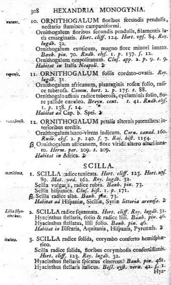 File:Linnaeus Scilla.jpg