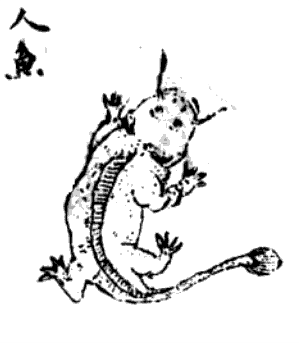File:Wang fu(1895)-shanhaijingcun3-fol27a-renyu-manfish.png