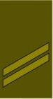 File:LT-Army-OR2.gif