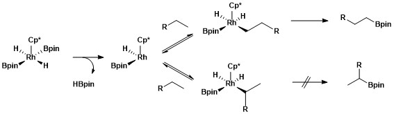 Mechanistic pathways for aliphatic C–H borylation