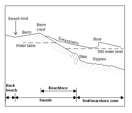 File:Swash zone and beachface morphology.JPG