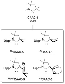 Cyclic (alkyl)(amino)carbenes with a five-membered backbone