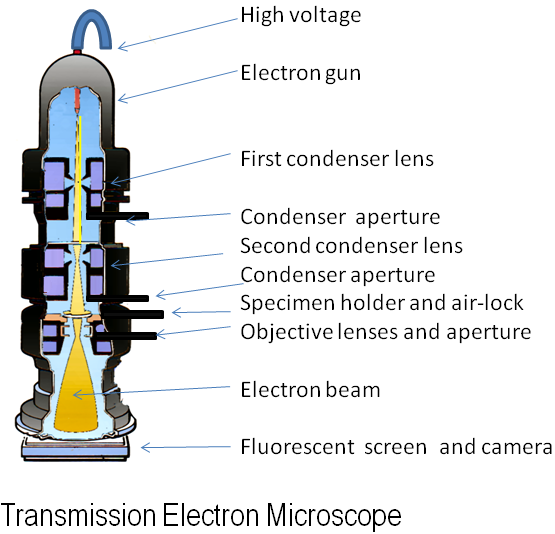 File:Electron Microscope.png