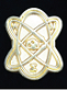 The pin of Alpha Nu Sigma.png